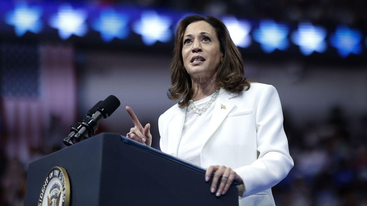 Kamala Harris Boosted By Celebrity Backing And Key Endorsements