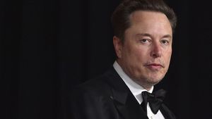 Musk's X Battles Brazilian Judiciary's Censorship