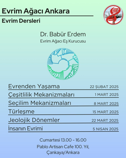 Evrim Dersleri