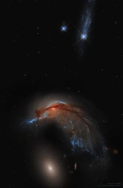Arp 142: Sinekkuşu Galaksisi