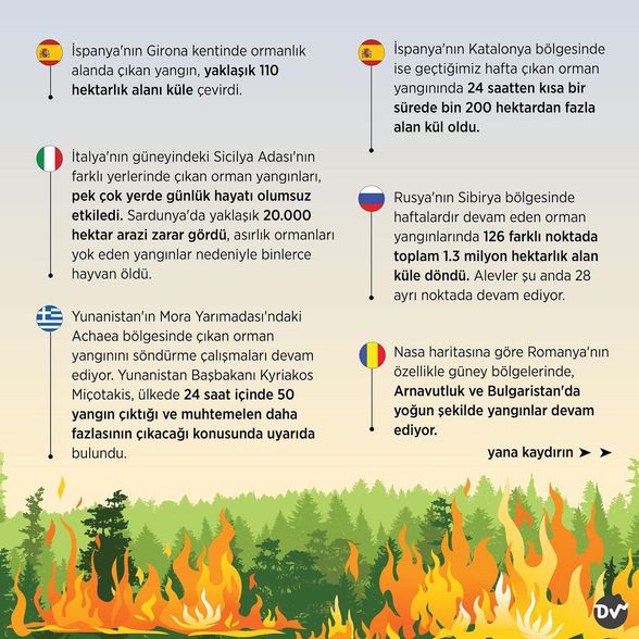 Hangi ülkeler yangınla mücadele ediyor (2)