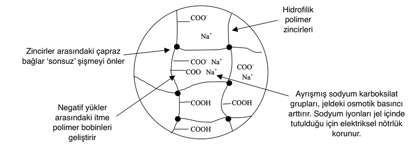 Polimer ağının bir bölümünün şematik bir temsili