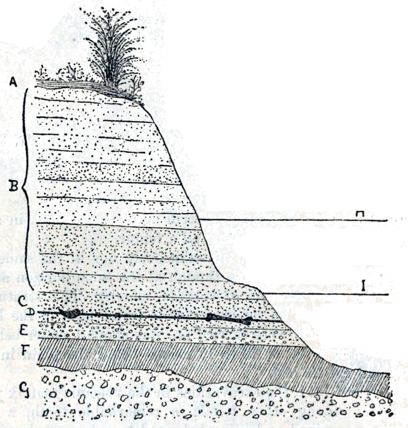 Eugene Dubois'in Java Adamı'nı bulduğu bölgenin stratigrafik görüntüsü.