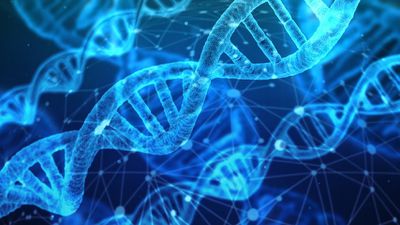 Epigenetik ve Hastalıklar: Epigenetiğin, Hastalıklar ve Tedaviler ile İlişkisi Nedir?