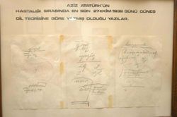 Atatürk ün güneş dil teorisi doğru bir teori midir?