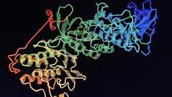 Nöral Ağlar, Yeni Proteinlerin Oluşmasına Yardımcı Oluyor!