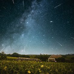 Üç Perseid Gecesi