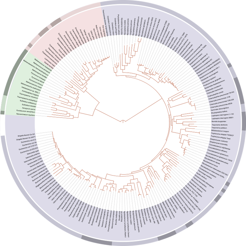 David Hillis'in 2008 yılında geliştirdiği, genom dizilimlerine dayanan yaşam ağacı. Bu yaşam ağacı yaklaşık 3000 türden alınan rRNA dizilerinin analizi ile ortaya çıkmıştır.