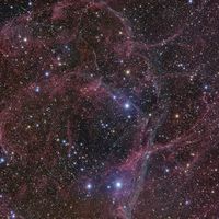  Vela Supernova Remnant 