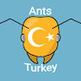 Ants Turkey