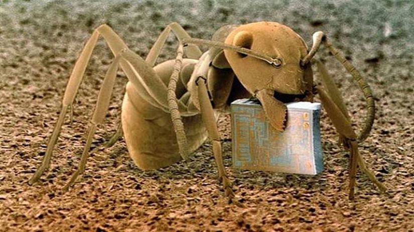 Fotoğrafta ağzında bir mikroçip taşıyan bir tahta karıncasının mikroskop altındaki görüntüsü görülmektedir. Bu harika kare, Brandon Broll tarafından hazırlanan Mikrokozmos isimli kitaptaki karelerden biridir. Peki karınca o mikroçiple ne yapacak?