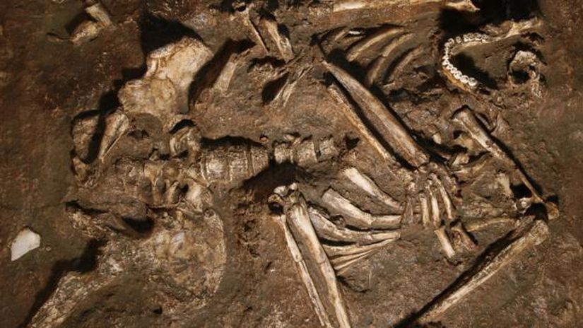 Neanderthaller. Avrupa'da bizden daha önce yaşıyorlardı.
