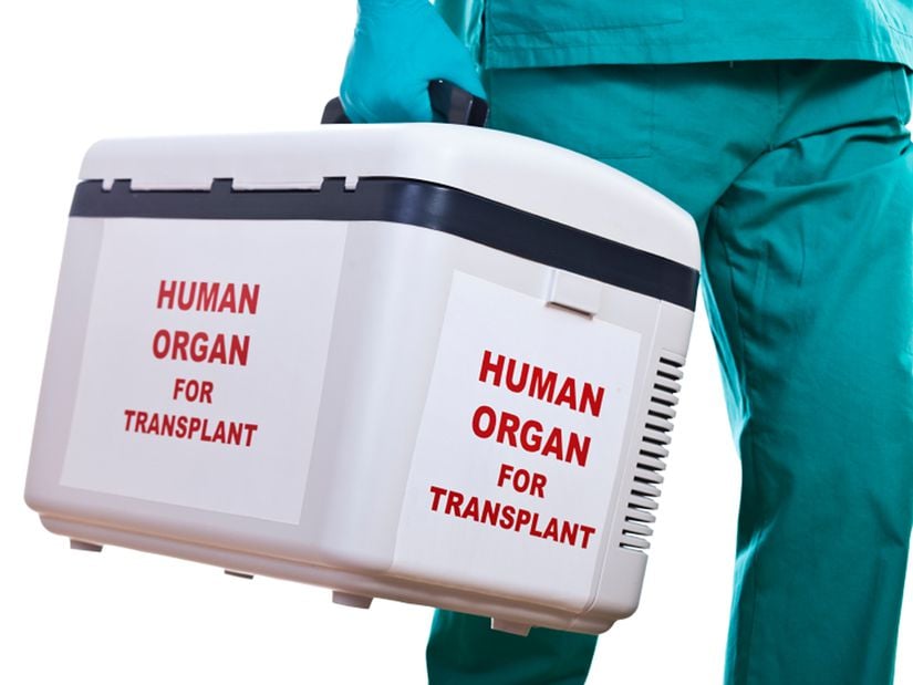 Vericilerden alınan organlar özel solüsyonlarda saklanır ve en kısa sürede ihtiyacı olan alıcıya ulaştırılır.