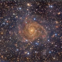  Hidden Galaxy IC 342 