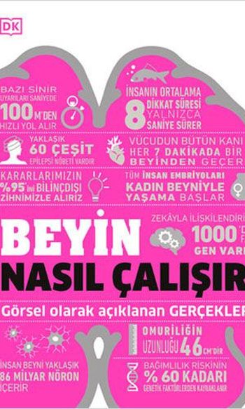 Beyin Nasıl Çalışır