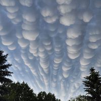 Saskatchewan Semalarında Mammatus Bulutları