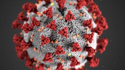 COVID-19 Virüsü SARS-CoV-2, İnsan Popülasyonu İçinde Yıllarca Yaşamış Olabilir!