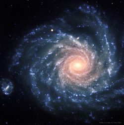 NGC 1232: Büyük Bir Tasarıma Sahip Spiral Galaksi