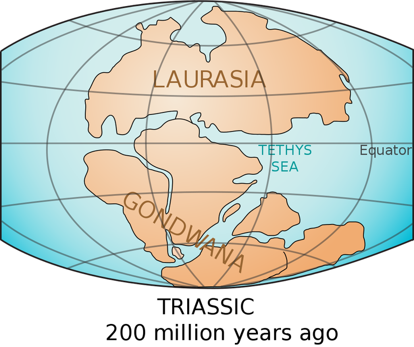 Pangea'dan ayrılan Laurasia, Gondwana ve ikisi arasındaki Tethys Denizi