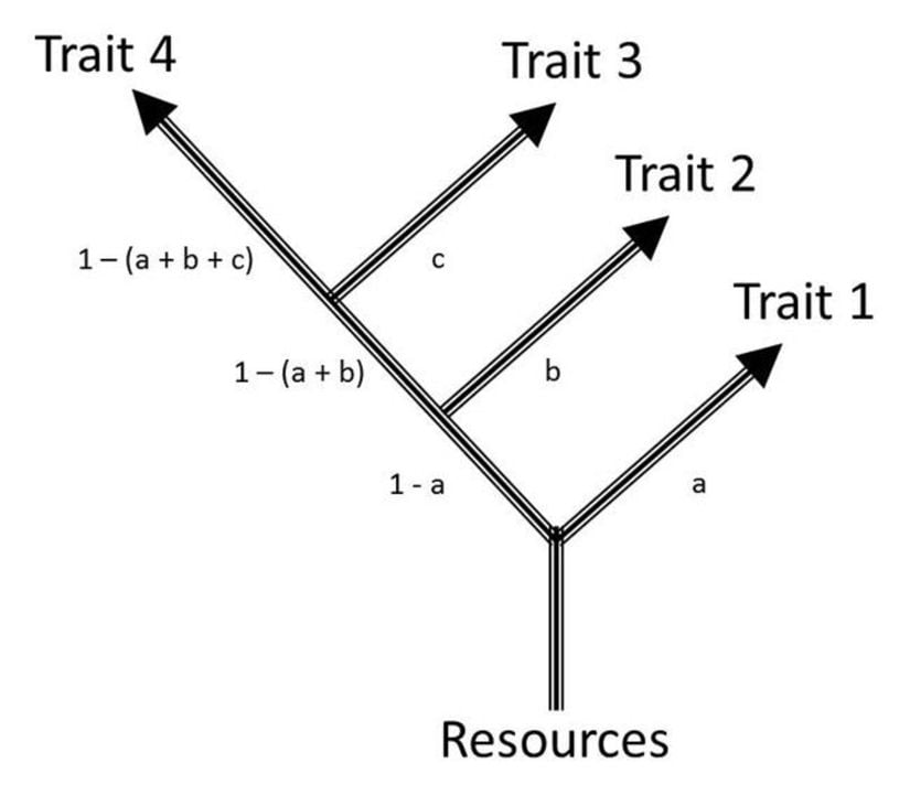 Yaşam öyküsü özellikleri arasındaki fizyolojik ve evrimsel ilişkiler ağacı. Bu modelde, bir bireyin sahip olduğu kaynakların bir bölümü (a kadarı) önce 1. özelliğe, sonra kalanın (1 – a kadarının) bir kısmı (b kadarı) 2. özelliğe vb. ayrılır. Bir popülasyondaki bireyler arasındaki kaynak ayırma çeşitliliği, yaşam öyküsü özellikleri arasında pozitif ve/veya negatif ilişkiler doğurabilir. Örneğin 1. özelliğe kaynak ayırmada bireyler arasında görülen çeşitlilik, 1 ve 2. özelliklerin değerleri arasında gözlemlenebilecek negatif bir ilişki yaratabilir çünkü 2. özelliğe (ÇN: Orijinalde, muhtemelen yanlışlıkla, “2.” yer almıyor.) kaynak ayırma, 1. özelliğe kaynak ayırmanın kısmen de olsa bir fonksiyonudur. Benzer şekilde 1 ve 3. özellikler arasında da farklı ilişkiler kurulabilir. Bu ilişkileri kaynak ayırmadaki fizyolojik kısıtlamaların yanı sıra özellikler arasındaki genetik bağlantılar da şekillendirebilir (de Jong 1993).