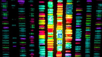 Genomu Dizilenen Tür Sayısı Katlanarak Artıyor!