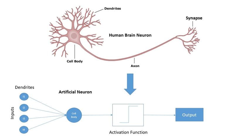 İnsan Beynindeki Nöronlar ve Yapay Sinir Ağları