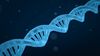 Genomik Gardiyan (Koruyucu Melek): p53 Geni ve Proteini Nedir, Genlerimizi Nasıl Korur?