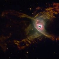  The Red Spider Planetary Nebula 