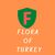 Flora Of Turkey Turkey