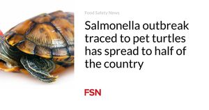 Tiny Turtles Spark Widespread Salmonella Concerns