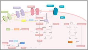 Unlocking Cancer Immunotherapy: How Inhibiting A Key Enzyme Could Revolutionize Treatment