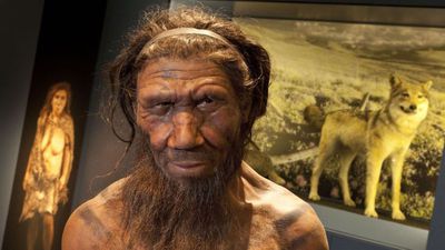 Modern İnsanlar ve Neandertaller Düşünülenden Çok Daha Önce Çiftleştiler!