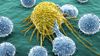 İmmünogözetim: Bağışıklık Sistemi, Kanser ile Nasıl Mücadele Ediyor? Kanser Hücreleri, Bağışıklık Yanıtlarından Nasıl Kaçıyor?