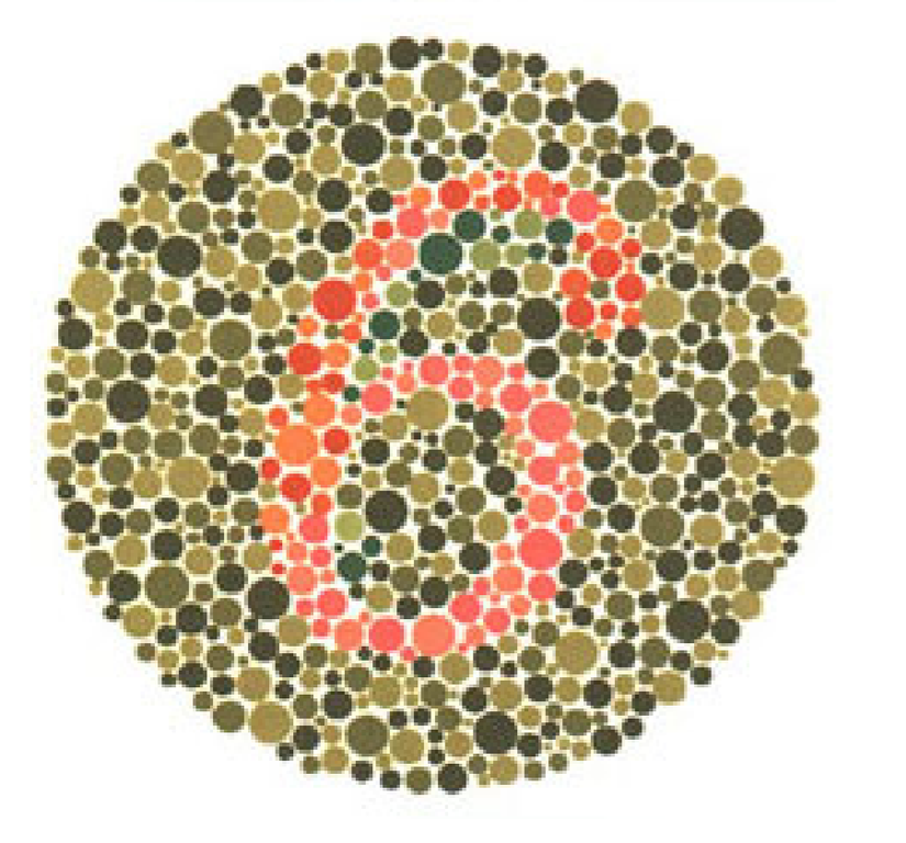 Plaka 3: Normal görüşlüler 6, kırmızı-yeşil renk körleri 5 sayısını görmeli.