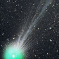  The Complex Ion Tail of Comet Lovejoy 