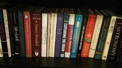Evrim Ağacı Kitap Tavsiyeleri: Evrim Öğrenmek İçin Hangi Kitapları Okumalısınız?