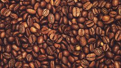 Kafein Nedir? Ne İşe Yarar? Kafeinin Faydaları ve Zararları Nelerdir?