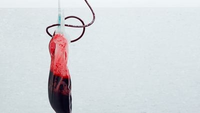 İnsan Kanı: Kanımız Ne Renktir? Kan Aslında Mavi Renkte mi?