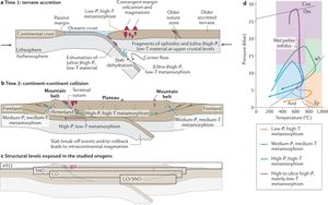 Ancient Magmatic Processes Unravel Earth's Continental Origins