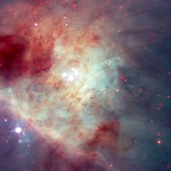  Fast Stars and Rogue Planets in the Orion Nebula 