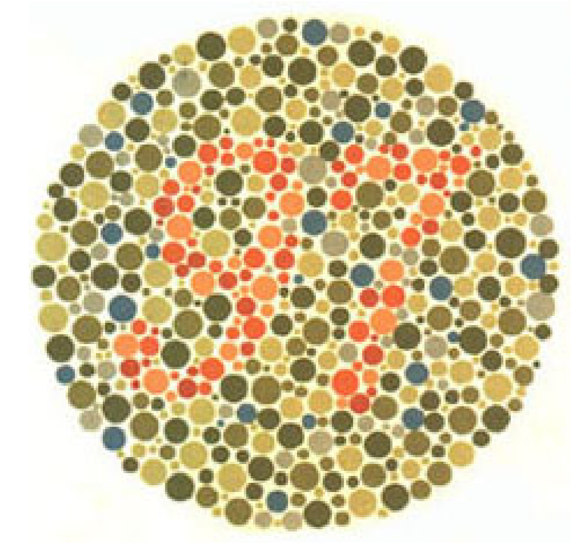 Plaka 12: Normal görüşlüler 97 görürler, kırmızı-yeşil renk körleri hiçbir sayı görmez veya bir sorun olduğunu düşünürler.