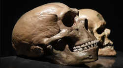 Neandertaller Konuşabiliyordu! Peki Dilleri Ne Kadar Gelişmişti?