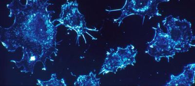 Kanserle Savaşmak: Kanser Genom Atlası Pan-Kanser Analiz Projesi