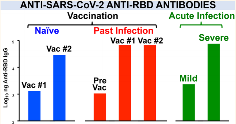 SARS-CoV-2'ye karşı Anti-RBD Antikorları