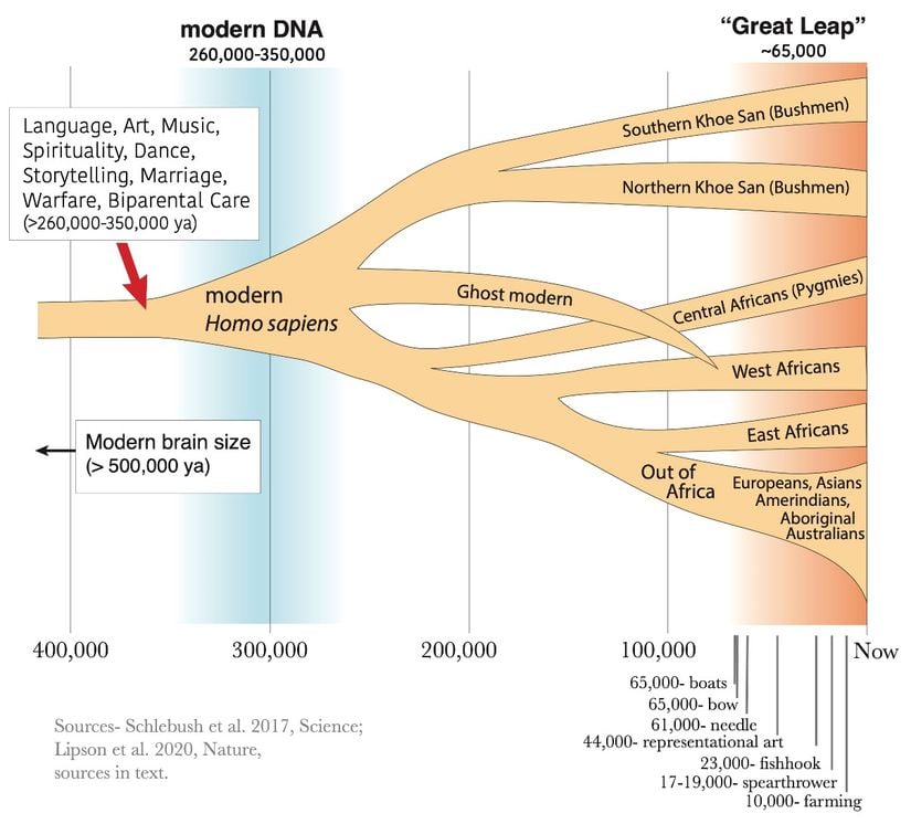 Etnik grupların genetik olarak ayrılmaları da dahil modern insanın evriminin önemli fiziksel ve kültürel dönüm noktaları. Nick Longrich