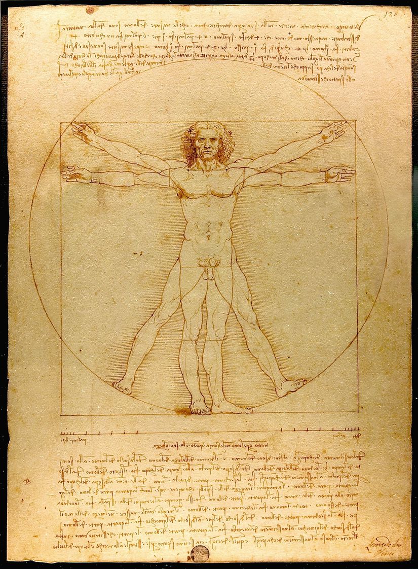 Vitruvius Adamı (ya da Vitruviyen Adam), Leonardo da Vinci tarafından 1490 yılında tamamlanmış şaşırtıcı bir eserdir. da Vinci, eserini Romalı mimar Vitruvius'un çalışmalarına dayanarak hazırlamıştır. Bir kağıt parçası üzerine kalem ve mürekkep ile çizilmiş olan eser, bir kare ve daire içerisine kolları süperpozisyon yöntemiyle üst üste oturtulmuş bir erkeği göstermektedir. Mimar Vitruvius, bu ölçüleri "ideal erkek ölçüleri" olarak tanımlamıştır. Bu iddianın bilimsel bir arka planı veya dayanağı bulunmamaktadır.