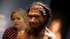 Neandertallerden Daha Zeki Değildik; Sadece Yok Oluşa Daha Uzun Süre Direnebildik!