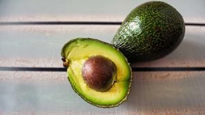 U.S. Transfers Avocado Inspections To Mexico And Growers Fume