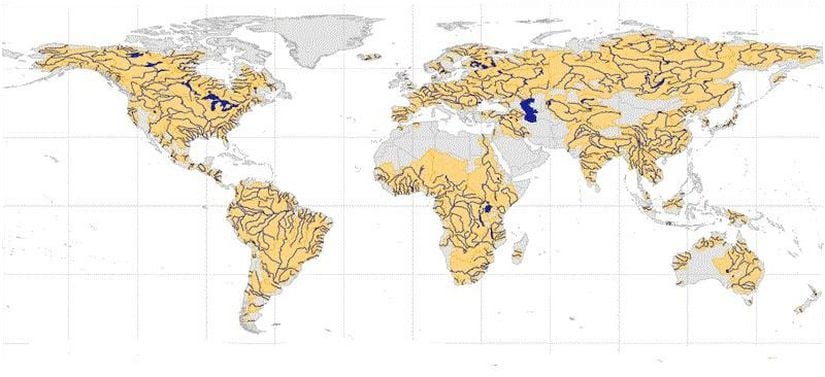 Dünyada başlıca akarsuların etkisi altında bulunan alanlar. Haritada kuzey, güney kutup alanları ve kurak alanlar akarsuların etkinliğinin düşük olduğu yerlerdir.