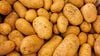 Kanser ile İlişkilendirilen Akrilamid'i Daha Düşük Oranlarda İçeren, Genetiği Değiştirilmiş Patateslerin Satışı Onaylandı!